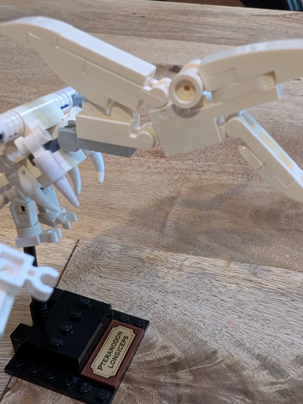 🦴 LEGO Set 21320 — Dinosaur Fossils - Complete